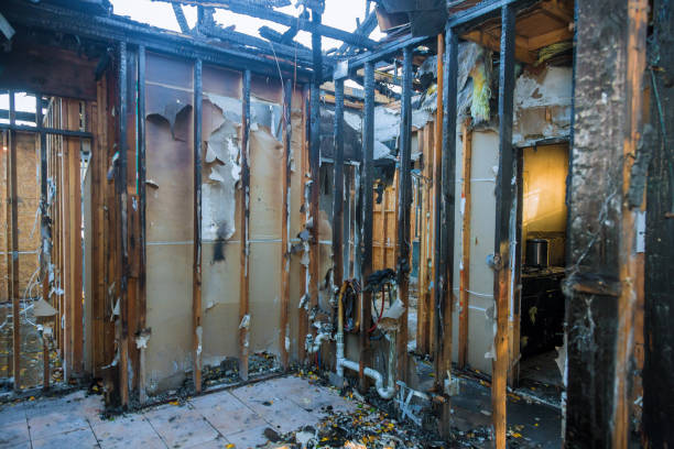 Professional Fire Damage Repair technician working in Cottage Grove, WI